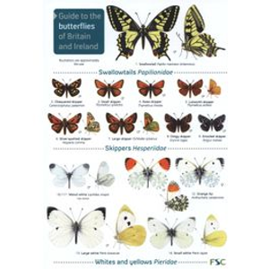 ID Chart - Butterflies of Britain 