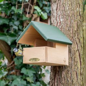 Blackbird Open Nest Box