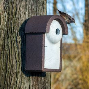 WoodStone Starling Nest Box