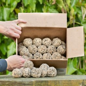 150 Ultimate Fat Balls for Birds