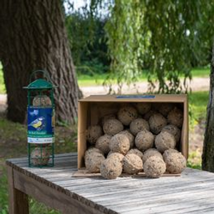 Box of 50 Fat Balls & FREE Feeder Starter Bundle