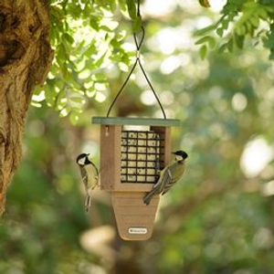 Monte Rosa Eco Suet Block Feeder