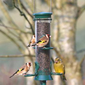 4 Port Plastic Nyjer Feeder Challenger®