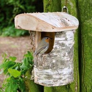 Stockholm Open Birch Nest Box
