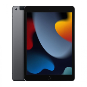 APPLE IPAD 256GB 5G MK4E3TY SGREY