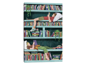 Bookshelf Wonder