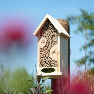Tabarca Bee & Insect Hotel