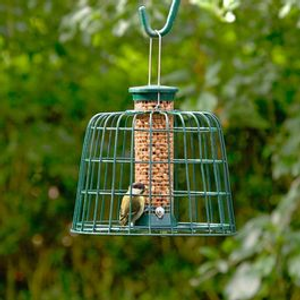 Guardian Caged Peanut Feeder Small Defender®