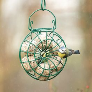 National Trust Fat Ball Feeding Ring