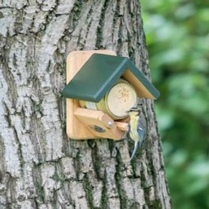 National Trust Dublin Peanut Butter Feeder