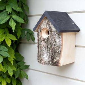Kingston Birch Nest Box 28mm