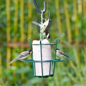 Metal Suet Cake Feeder