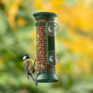 Window Peanut Bird Feeder
