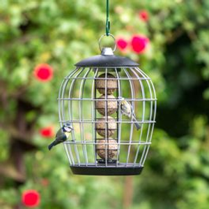 Aura Guardian Caged Fat Ball Feeder