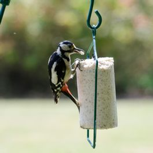 Suet Cake Hanger for 1 litre tubes