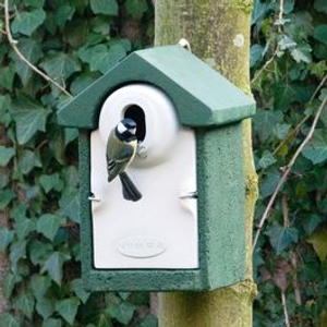 WoodStone Seville Nest Box 32mm Oval Hole - Green