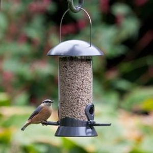 2 Port Bird Seed Feeder Adventurer