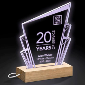 Peak LED Light-Up Award