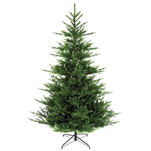 Noma 7ft Nordman Fir Christmas Tree