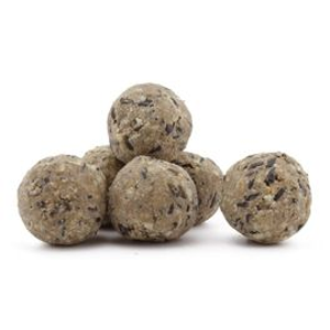 Insect Fat Balls - Pack of 6