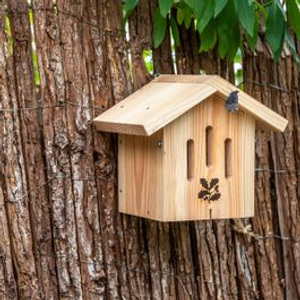 National Trust Kids DIY Butterfly House Dana