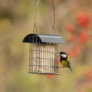 Sydney Suet Block Feeder - Black