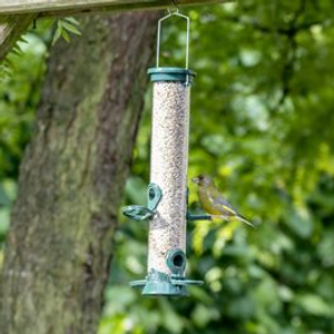 Metal Bird Feeder + FREE Bird Seed Starter Bundle