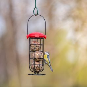 National Trust EasyFlip Fat Ball Feeder