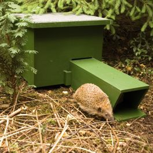 Eco Hedgehog Feeding Shelter