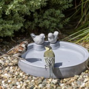 Thunersee Bird Bath