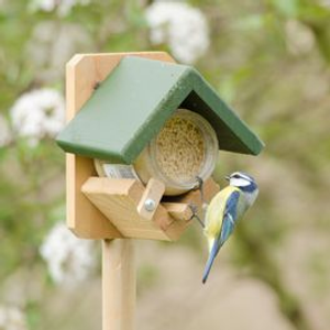 Dublin Pole Mounted Peanut Butter Feeder