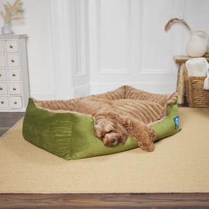 BLUE PAW Lounger, Green & Cappuccino - Large: 100x70x32cm