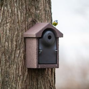WoodStone® Bilbao Nest Box 28mm - Brown