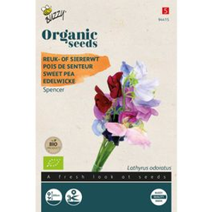 Organic Sweet Pea Seeds - Spencer Mix from Buzzy Seeds®