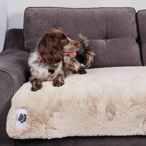 Pet Rebellion Faux Fur Comfy Sofa Cover Stone