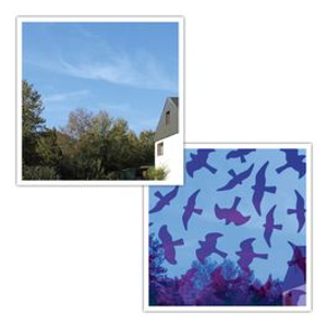 Window Silhouette Stickers Birdsticker®