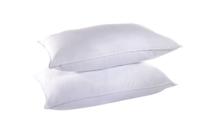 Luxury Pair of Pillows