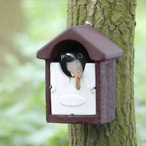 WoodStone® Barcelona Open Nest Box - Brown