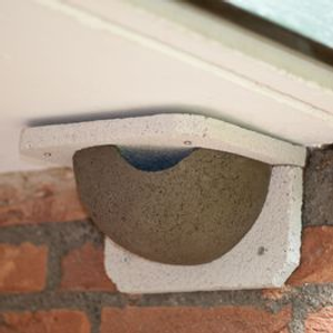 WoodStone® House Martin Nest Box Cup - Right