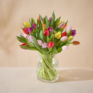 British Mixed Tulips Bouquet