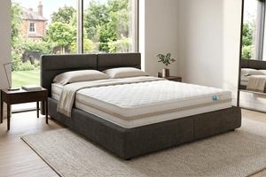 Relaxsan Vision Mattress-4'6 Double