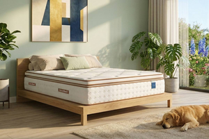 SleepSoul Space 3000 Mattress