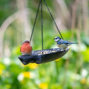 Shovel Bird Feeder With Robin Polystone