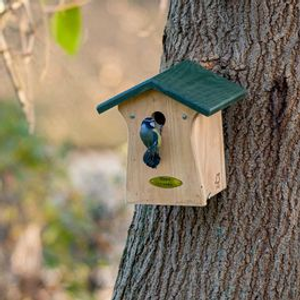 Bonaire 28mm Nest Box