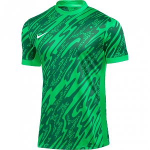 Nike Gardien V SS GK Jersey - green - S