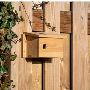 House Sparrow Nest Box 34mm Hole - Middle
