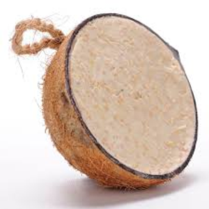 Coconut Halves-10 Pack