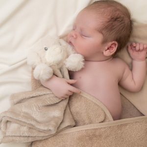 Biscuit Puppy & Animals Comforter