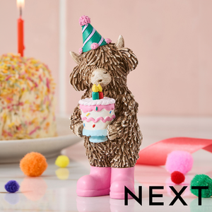 NEXT Happy Birthday Hamish Ornament