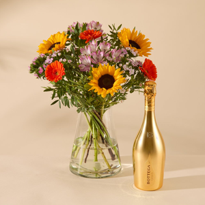 The Birthday Brights & Bottega Gold Prosecco 75cl Gift Set